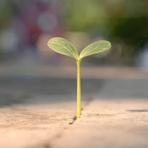 Real-Life Success Stories
